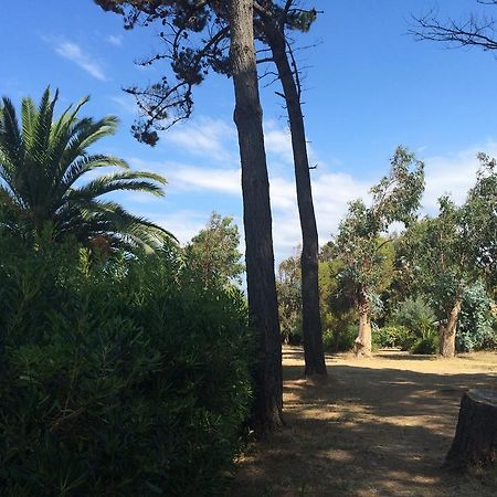 Hotel Le Narval Calcatoggio  Εξωτερικό φωτογραφία