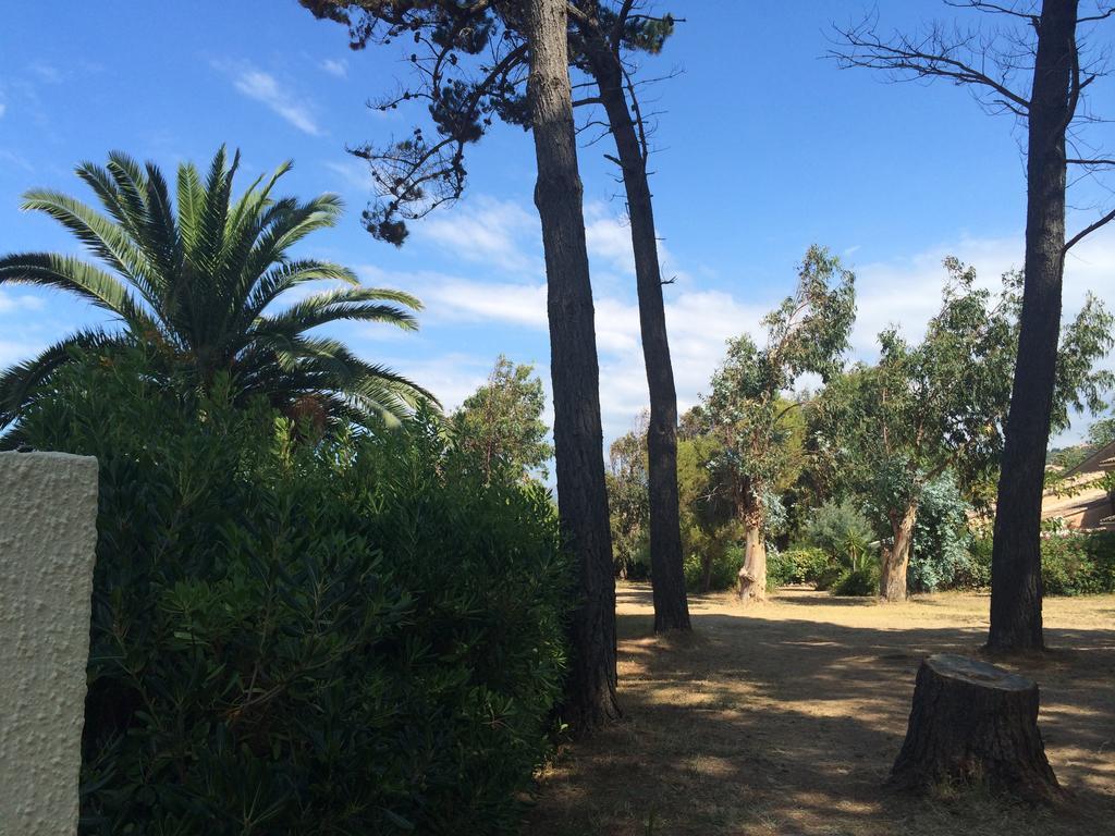 Hotel Le Narval Calcatoggio  Εξωτερικό φωτογραφία